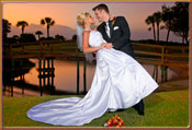 Wedding Photographer